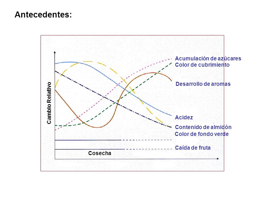 Antecedentes: Acumulación de azúcares Color de cubrimiento