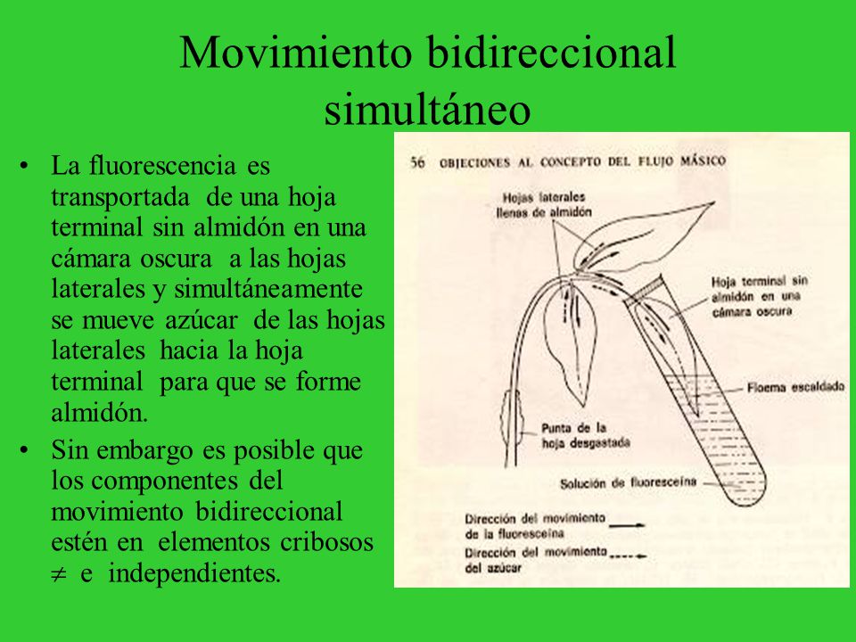 Movimiento bidireccional simultáneo