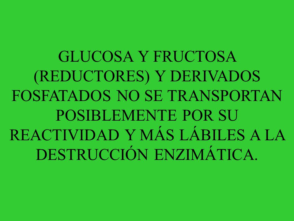 GLUCOSA Y FRUCTOSA (REDUCTORES) Y DERIVADOS FOSFATADOS NO SE TRANSPORTAN POSIBLEMENTE POR SU REACTIVIDAD Y MÁS LÁBILES A LA DESTRUCCIÓN ENZIMÁTICA.