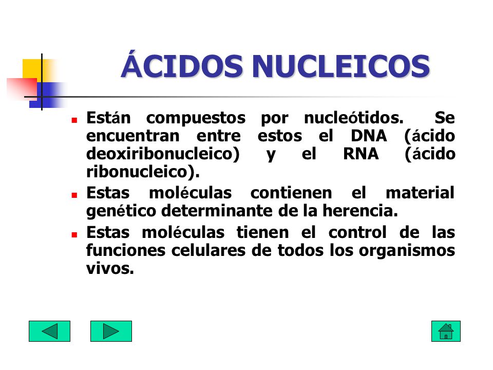 ÁCIDOS NUCLEICOS Están compuestos por nucleótidos. Se encuentran entre estos el DNA (ácido deoxiribonucleico) y el RNA (ácido ribonucleico).