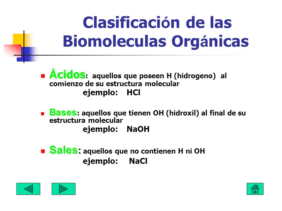 Clasificación de las Biomoleculas Orgánicas