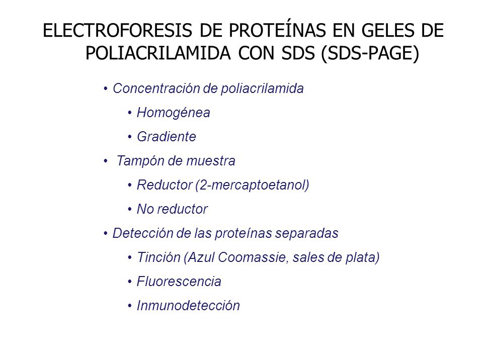 ELECTROFORESIS DE PROTEÍNAS EN GELES DE POLIACRILAMIDA CON SDS (SDS-PAGE)