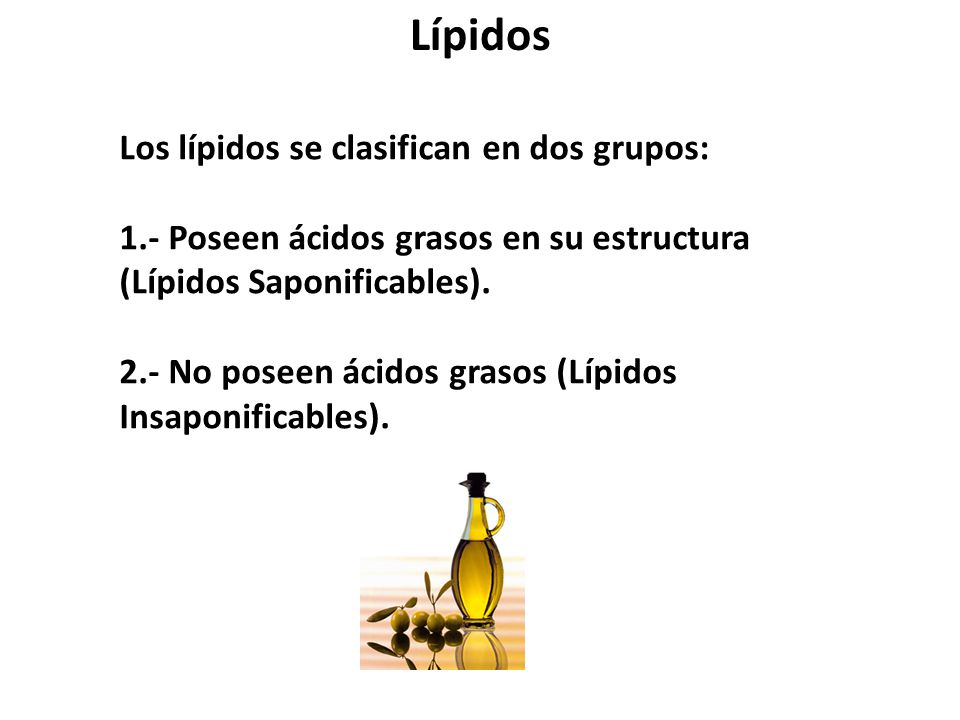 Lípidos Los lípidos se clasifican en dos grupos: