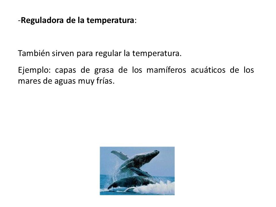 Reguladora de la temperatura: