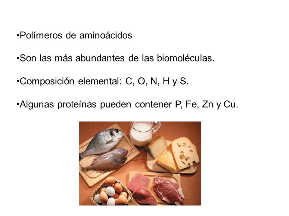 •Polímeros de aminoácidos
