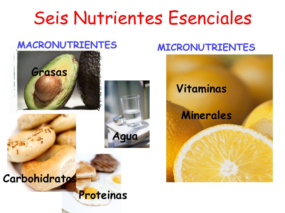 Seis Nutrientes Esenciales