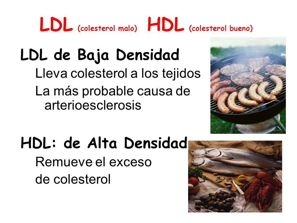 LDL (colesterol malo) HDL (colesterol bueno)