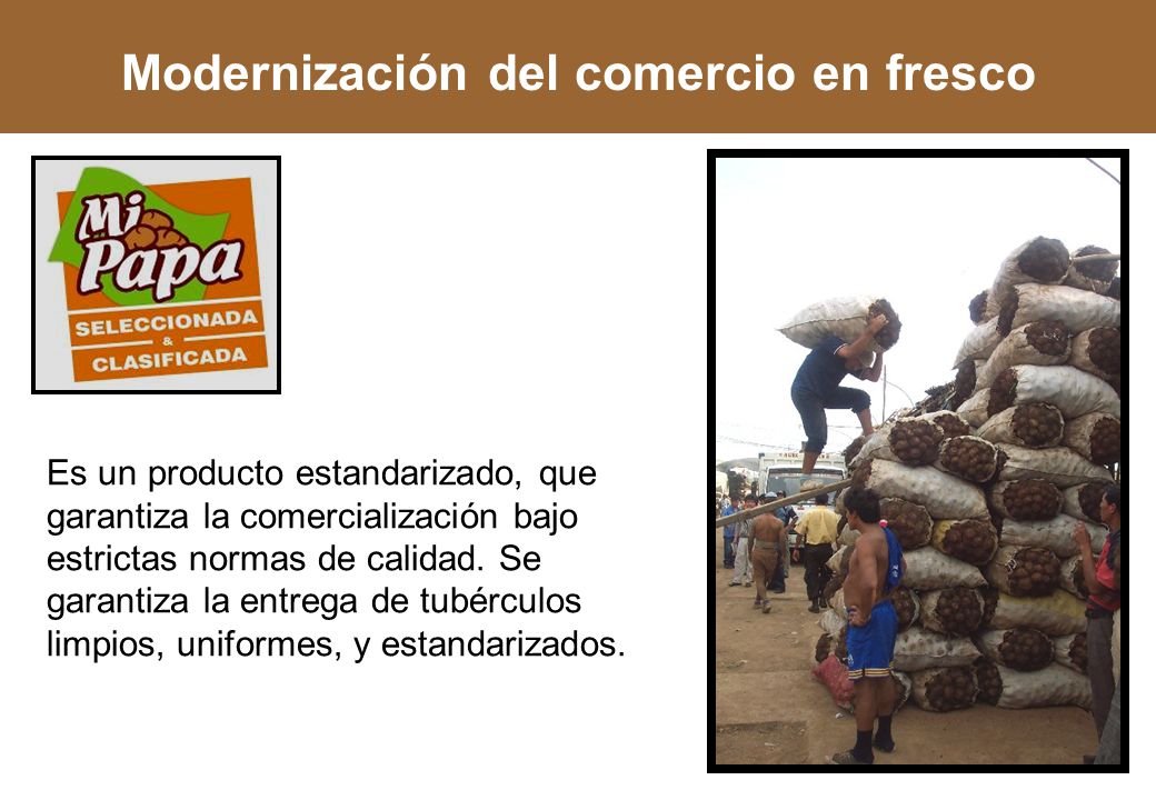 Producto fresco de mercado Modernización del comercio en fresco
