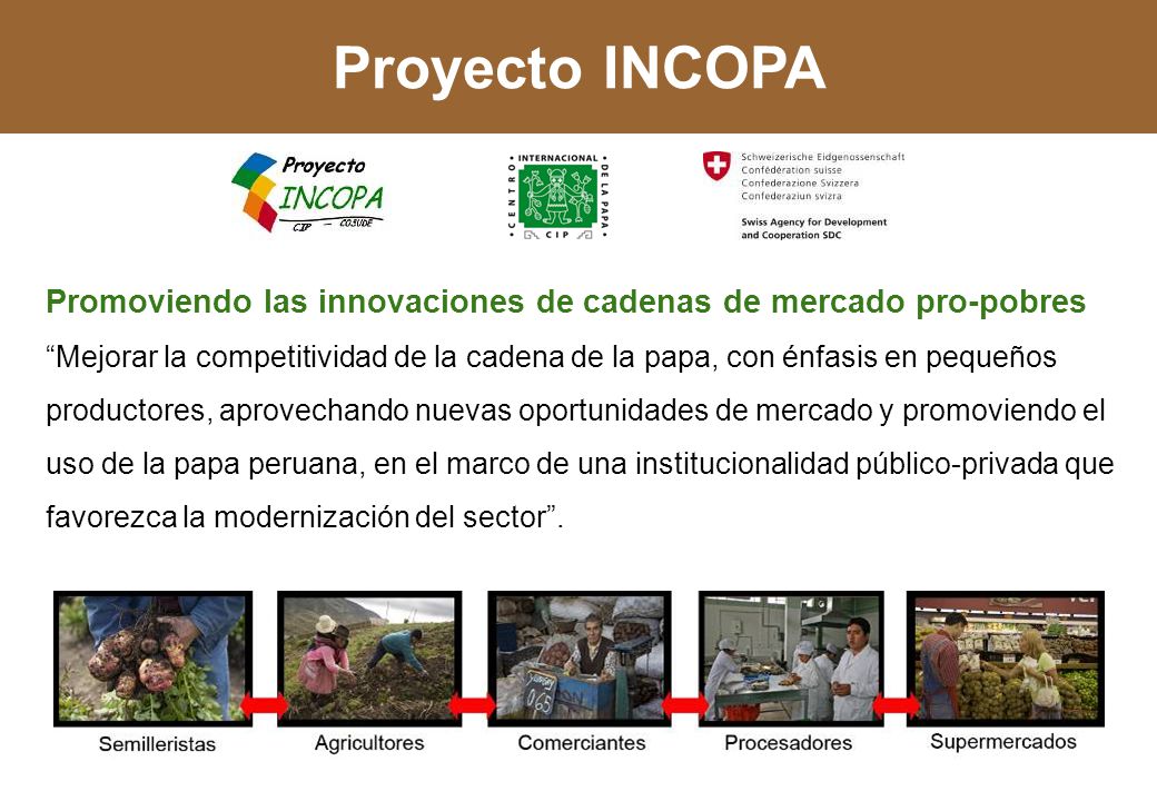 Proyecto INCOPA Promoviendo las innovaciones de cadenas de mercado pro-pobres.