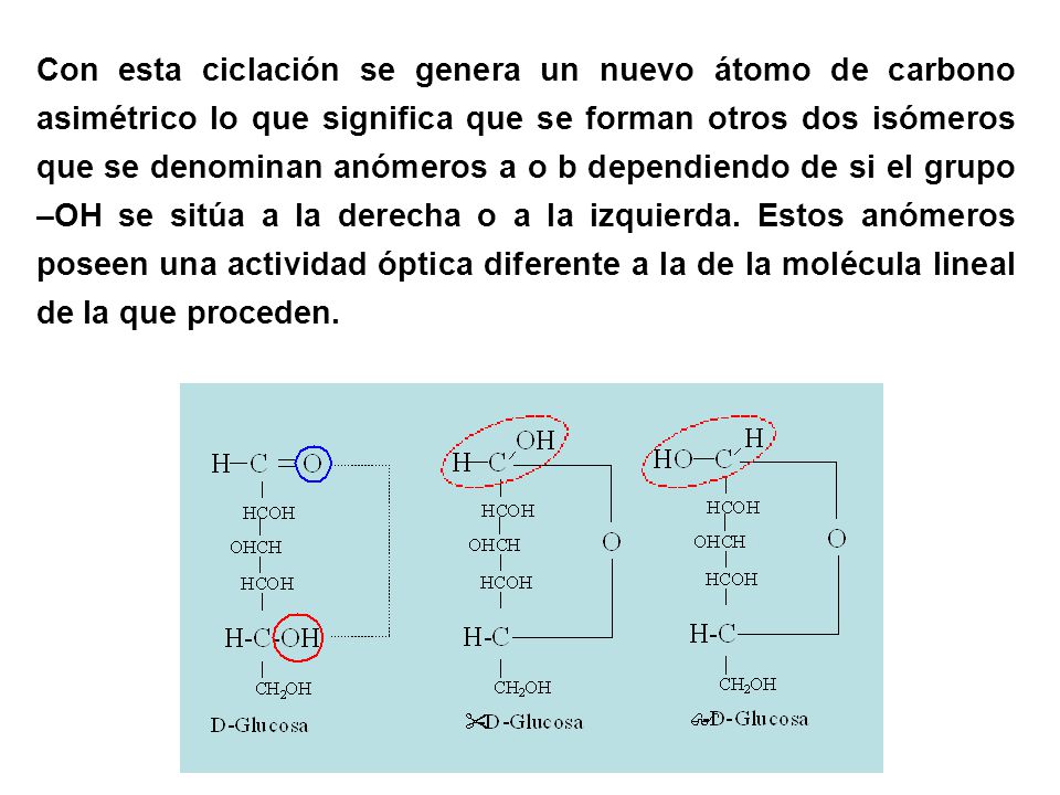 Con esta ciclación se genera un nuevo átomo de carbono asimétrico lo que significa que se forman otros dos isómeros que se denominan anómeros a o b dependiendo de si el grupo –OH se sitúa a la derecha o a la izquierda.