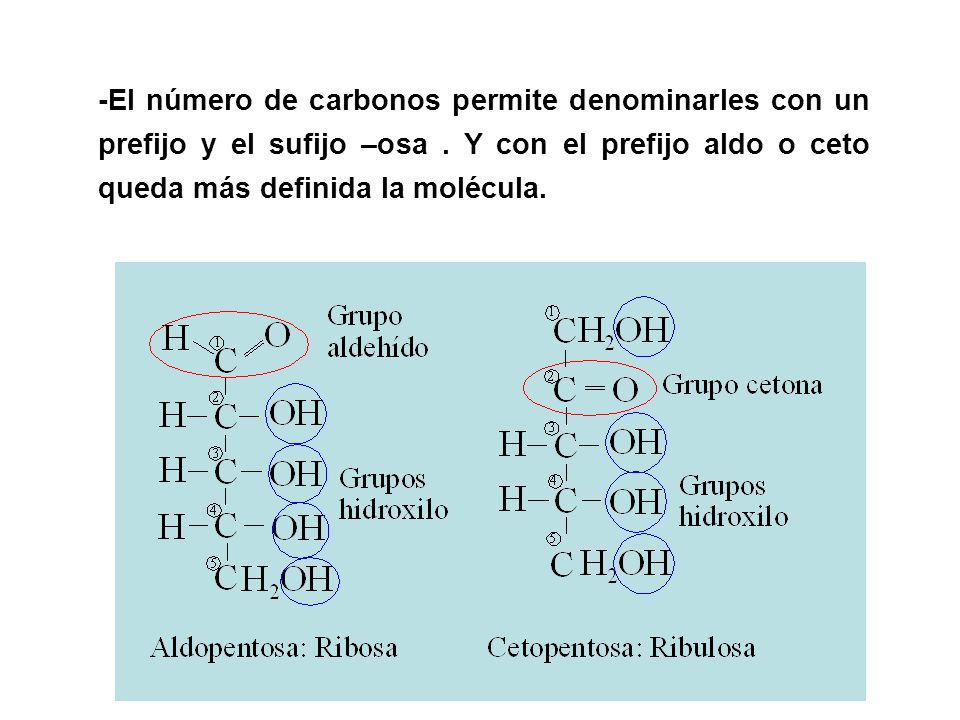-El número de carbonos permite denominarles con un prefijo y el sufijo –osa .