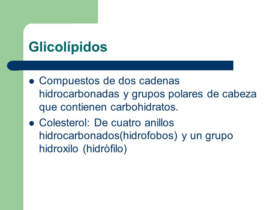 Glicolípidos Compuestos de dos cadenas hidrocarbonadas y grupos polares de cabeza que contienen carbohidratos.