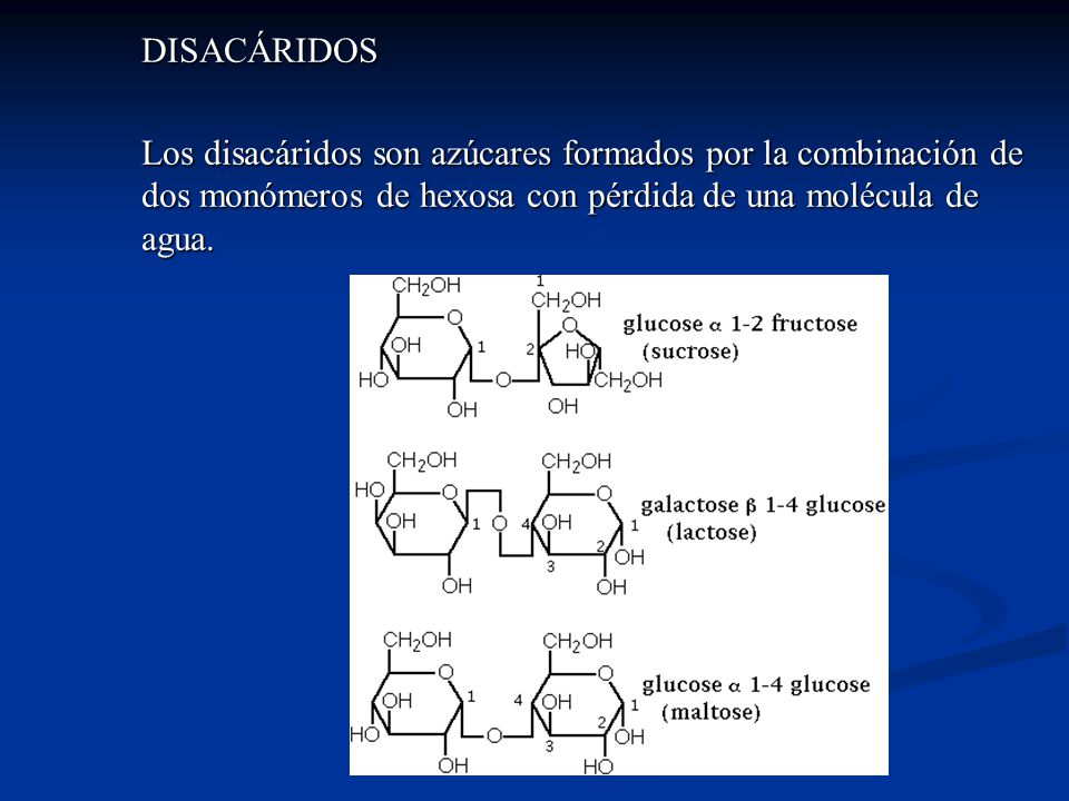 DISACÁRIDOS Los disacáridos son azúcares formados por la combinación de dos monómeros de hexosa con pérdida de una molécula de agua.