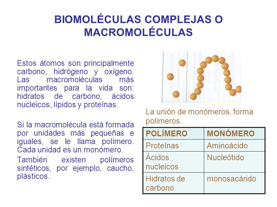 BIOMOLÉCULAS COMPLEJAS O MACROMOLÉCULAS