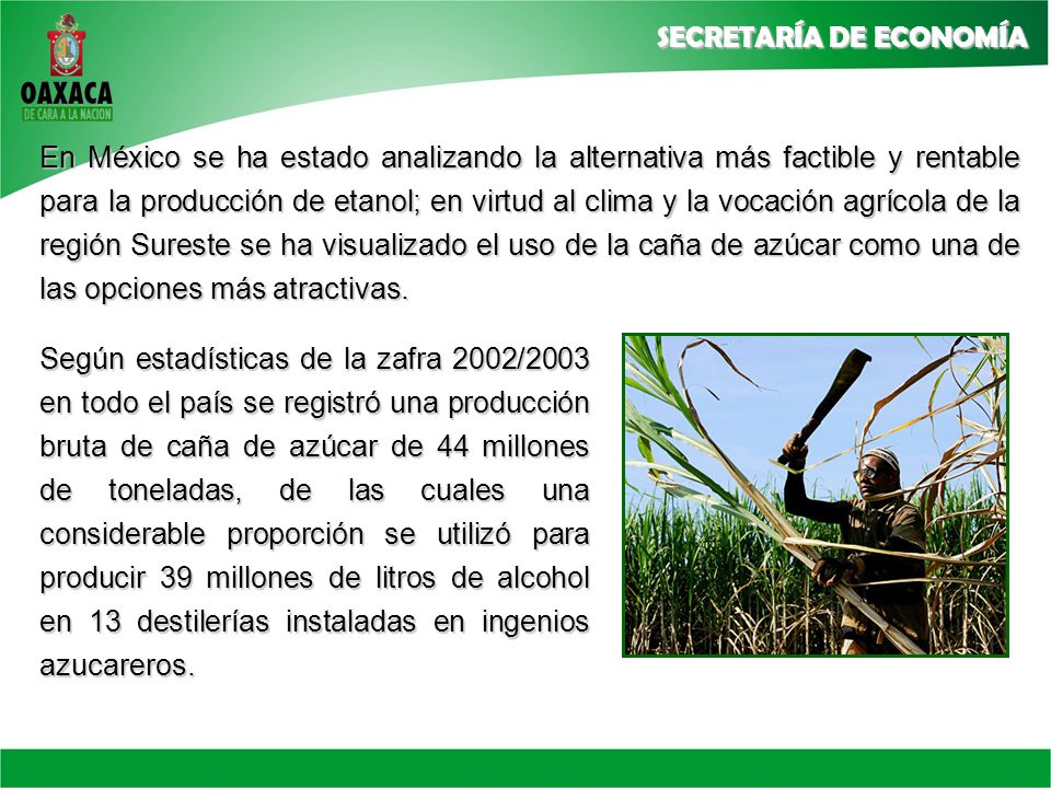 En México se ha estado analizando la alternativa más factible y rentable para la producción de etanol; en virtud al clima y la vocación agrícola de la región Sureste se ha visualizado el uso de la caña de azúcar como una de las opciones más atractivas.