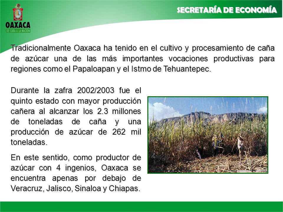 Tradicionalmente Oaxaca ha tenido en el cultivo y procesamiento de caña de azúcar una de las más importantes vocaciones productivas para regiones como el Papaloapan y el Istmo de Tehuantepec.