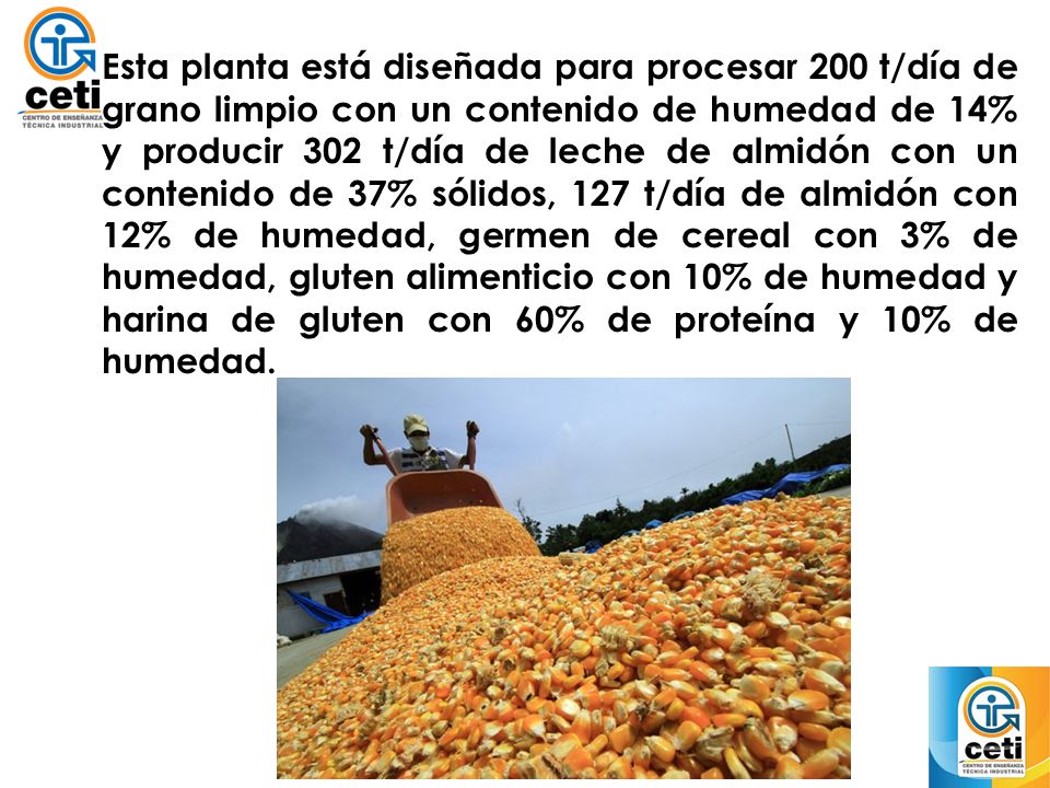 Esta planta está diseñada para procesar 200 t/día de grano limpio con un contenido de humedad de 14% y producir 302 t/día de leche de almidón con un contenido de 37% sólidos, 127 t/día de almidón con 12% de humedad, germen de cereal con 3% de humedad, gluten alimenticio con 10% de humedad y harina de gluten con 60% de proteína y 10% de humedad.
