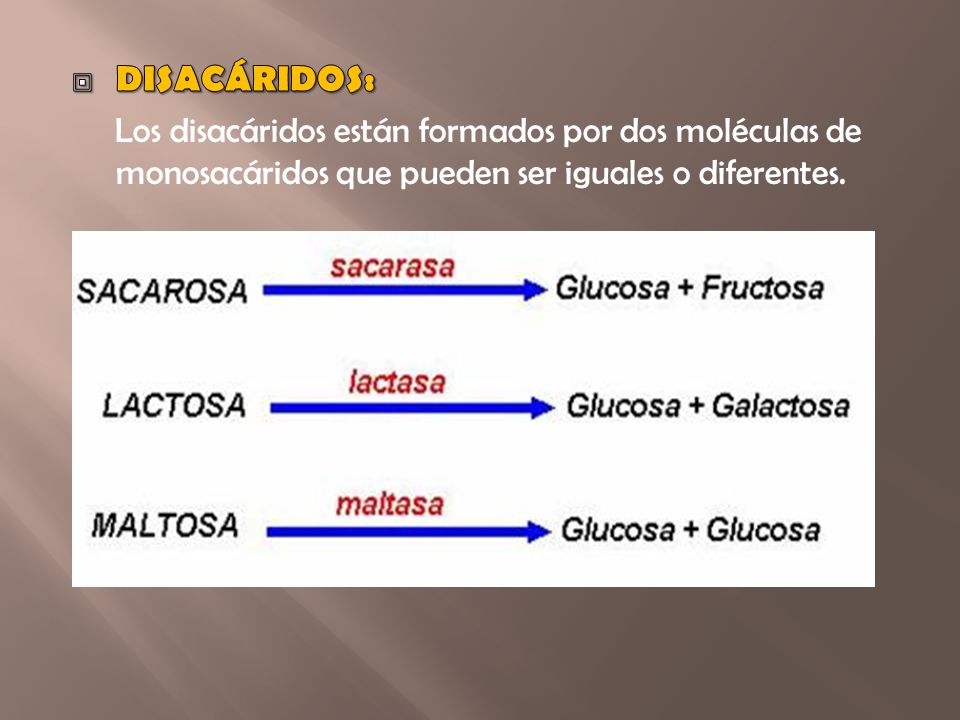 DISACÁRIDOS: Los disacáridos están formados por dos moléculas de monosacáridos que pueden ser iguales o diferentes.
