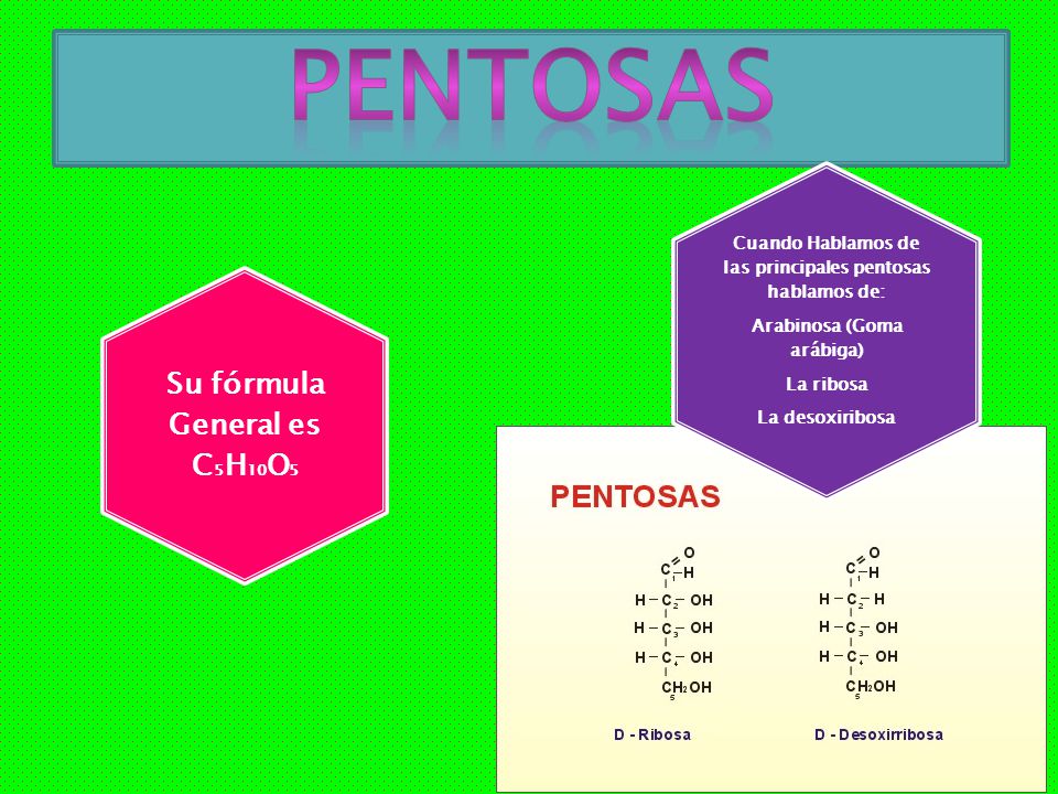 PENTOSAS Su fórmula General es C5H10O5