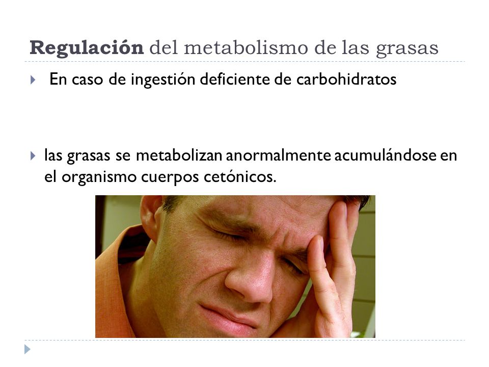Regulación del metabolismo de las grasas