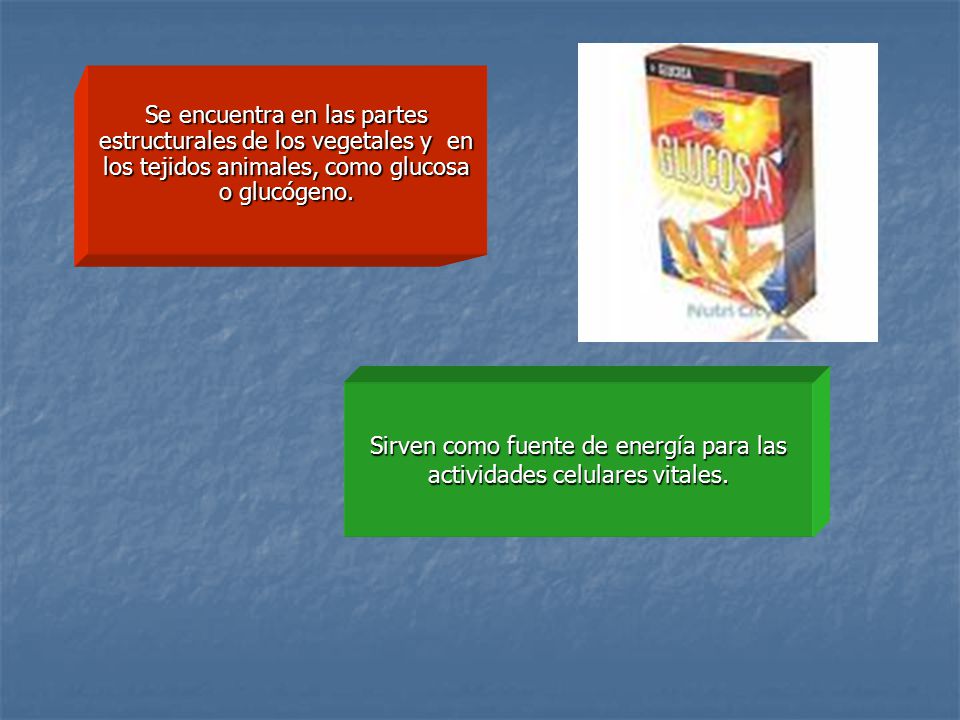 Sirven como fuente de energía para las actividades celulares vitales.