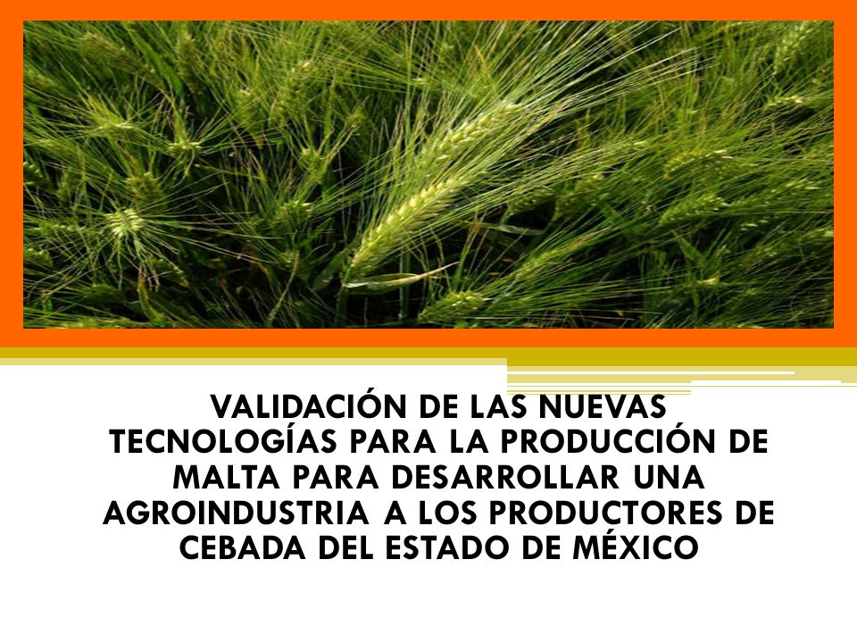 VALIDACIÓN DE LAS NUEVAS TECNOLOGÍAS PARA LA PRODUCCIÓN DE MALTA PARA DESARROLLAR UNA AGROINDUSTRIA A LOS PRODUCTORES DE CEBADA DEL ESTADO DE MÉXICO