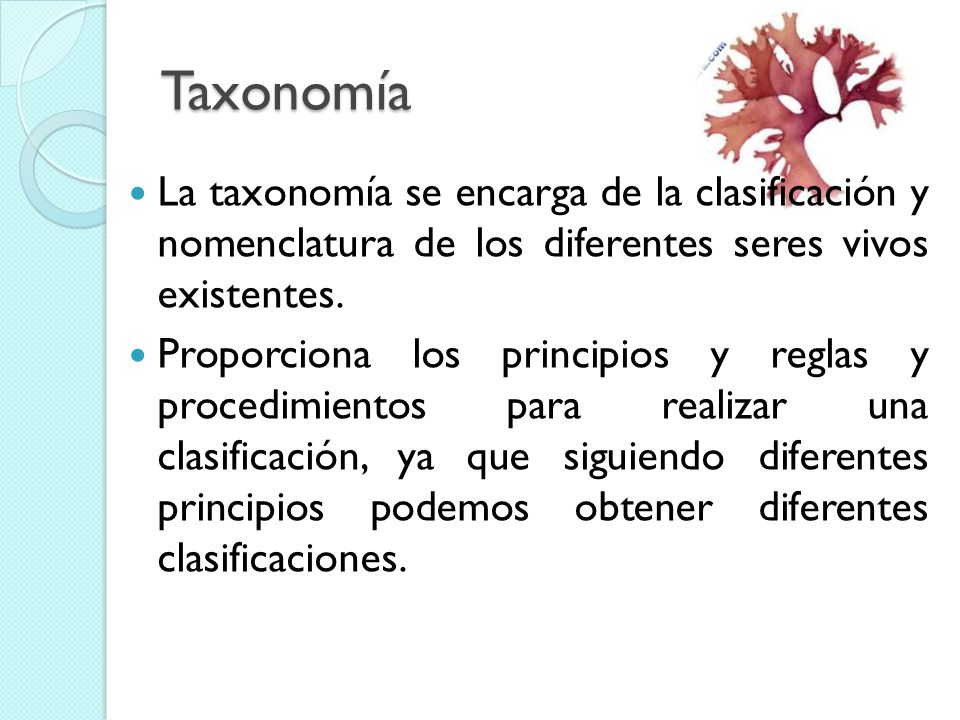 Taxonomía La taxonomía se encarga de la clasificación y nomenclatura de los diferentes seres vivos existentes.