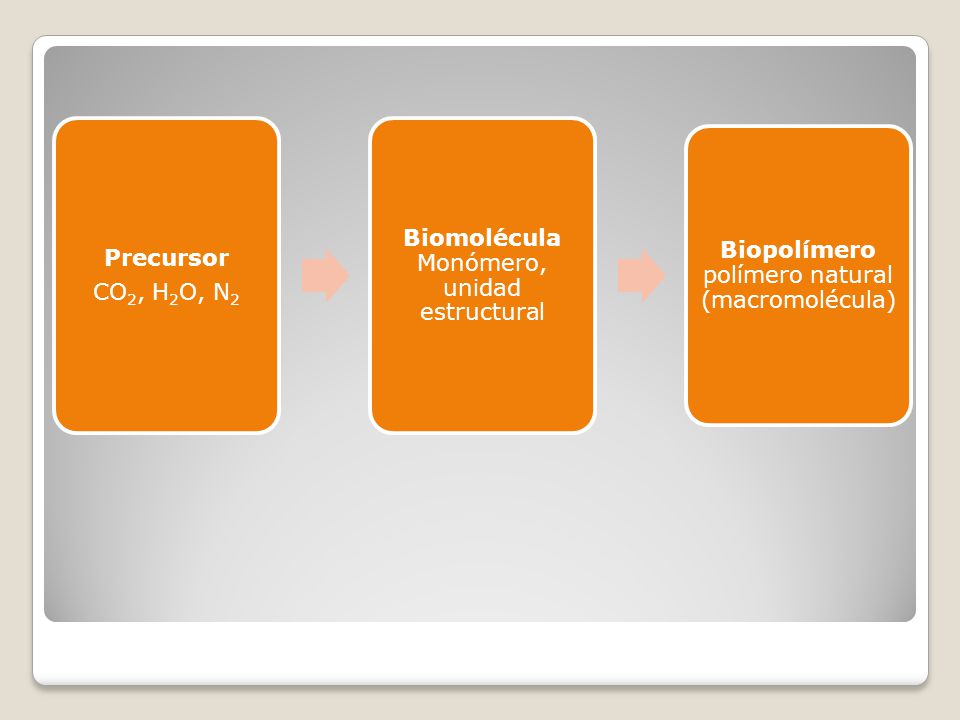 Biomolécula Monómero, unidad estructural