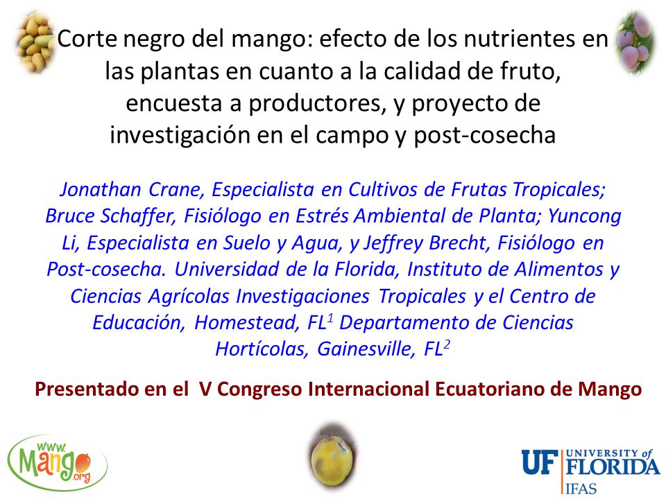 Corte negro del mango: efecto de los nutrientes en las plantas en cuanto a la calidad de fruto, encuesta a productores, y proyecto de investigación en el campo y post-cosecha
