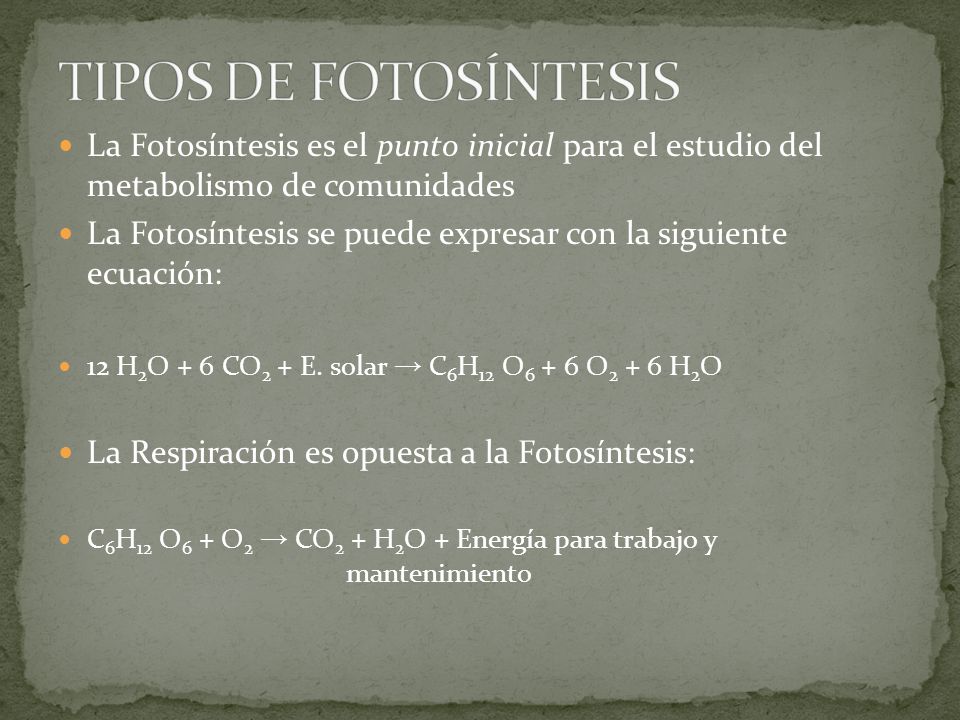 TIPOS DE FOTOSÍNTESIS La Fotosíntesis es el punto inicial para el estudio del metabolismo de comunidades.