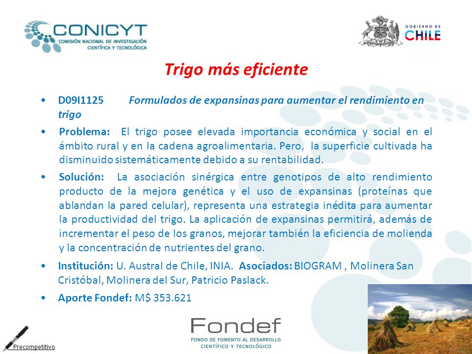 Trigo más eficiente D09I1125 Formulados de expansinas para aumentar el rendimiento en trigo.