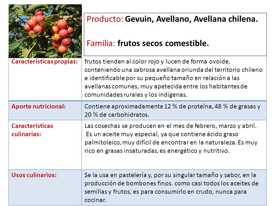 a Producto: Gevuin, Avellano, Avellana chilena.