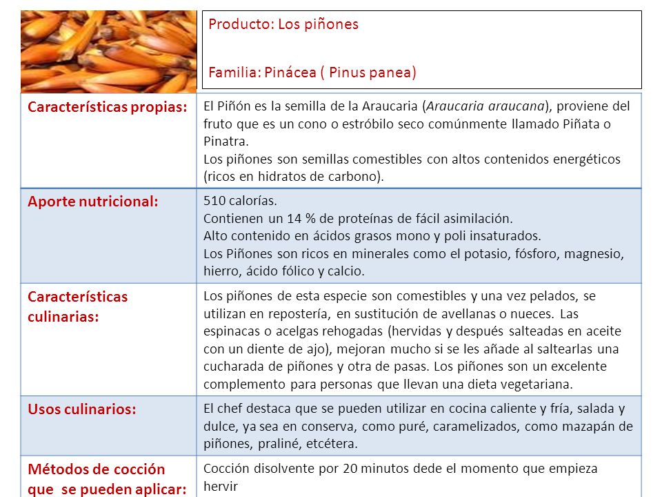 Producto: Los piñones Familia: Pinácea ( Pinus panea)