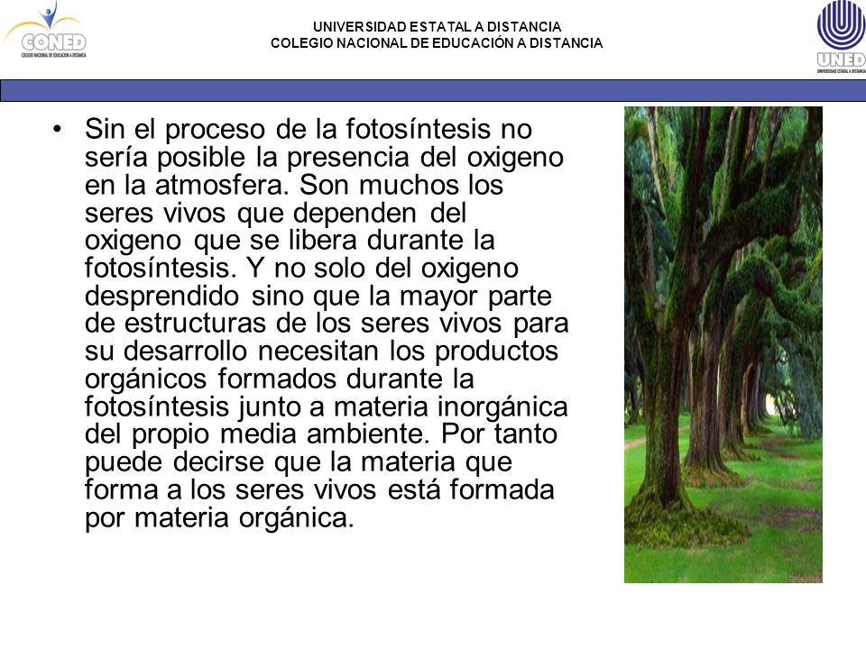 Sin el proceso de la fotosíntesis no sería posible la presencia del oxigeno en la atmosfera.