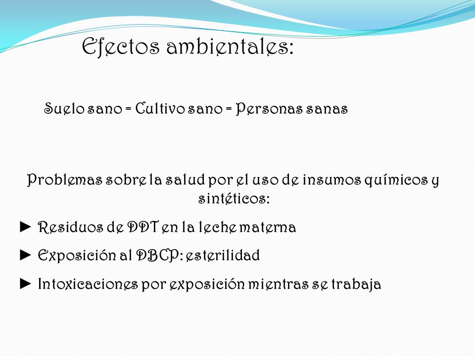 Problemas sobre la salud por el uso de insumos químicos y sintéticos: