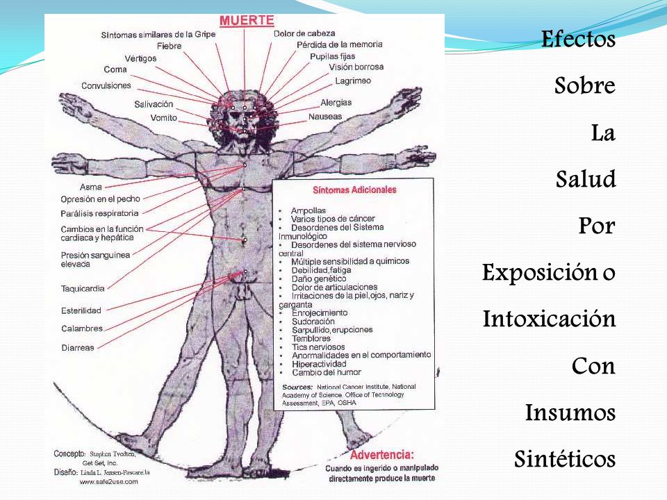 Efectos Sobre La Salud Por Exposición o Intoxicación Con Insumos Sintéticos