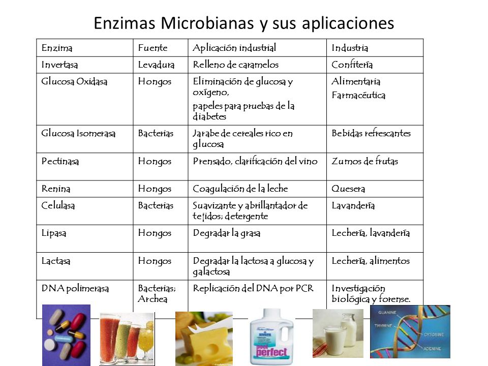 Enzimas Microbianas y sus aplicaciones
