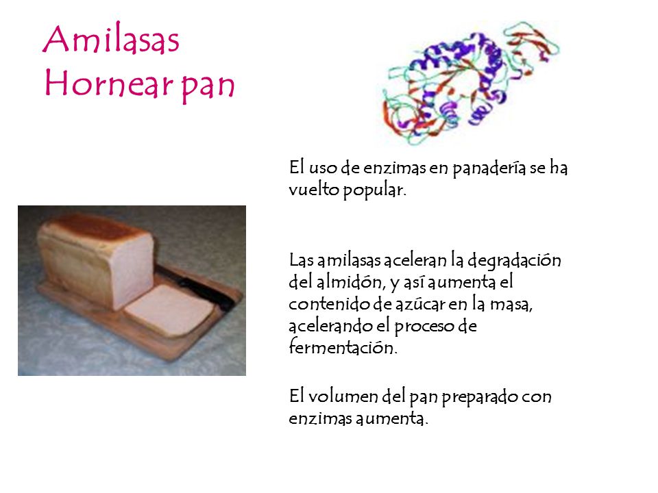 Amilasas Hornear pan. El uso de enzimas en panadería se ha vuelto popular.
