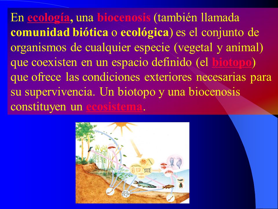 En ecología, una biocenosis (también llamada comunidad biótica o ecológica) es el conjunto de organismos de cualquier especie (vegetal y animal) que coexisten en un espacio definido (el biotopo) que ofrece las condiciones exteriores necesarias para su supervivencia.