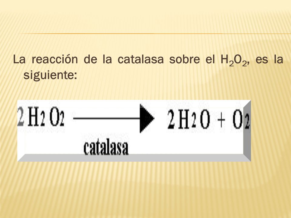 La reacción de la catalasa sobre el H2O2, es la siguiente: