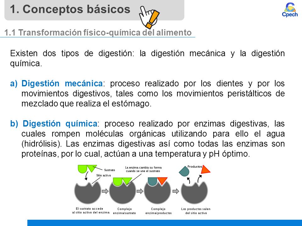 1. Conceptos básicos 1.1 Transformación físico-química del alimento