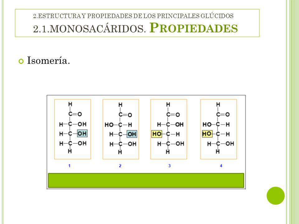 2. ESTRUCTURA Y PROPIEDADES DE LOS PRINCIPALES GLÚCIDOS 2. 1