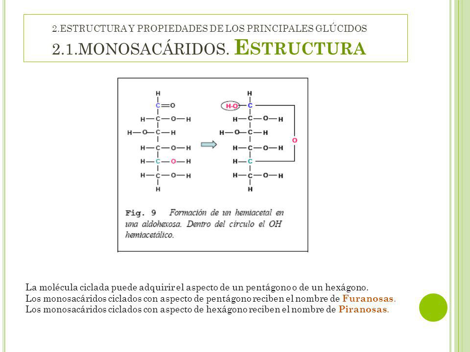 2. ESTRUCTURA Y PROPIEDADES DE LOS PRINCIPALES GLÚCIDOS 2. 1