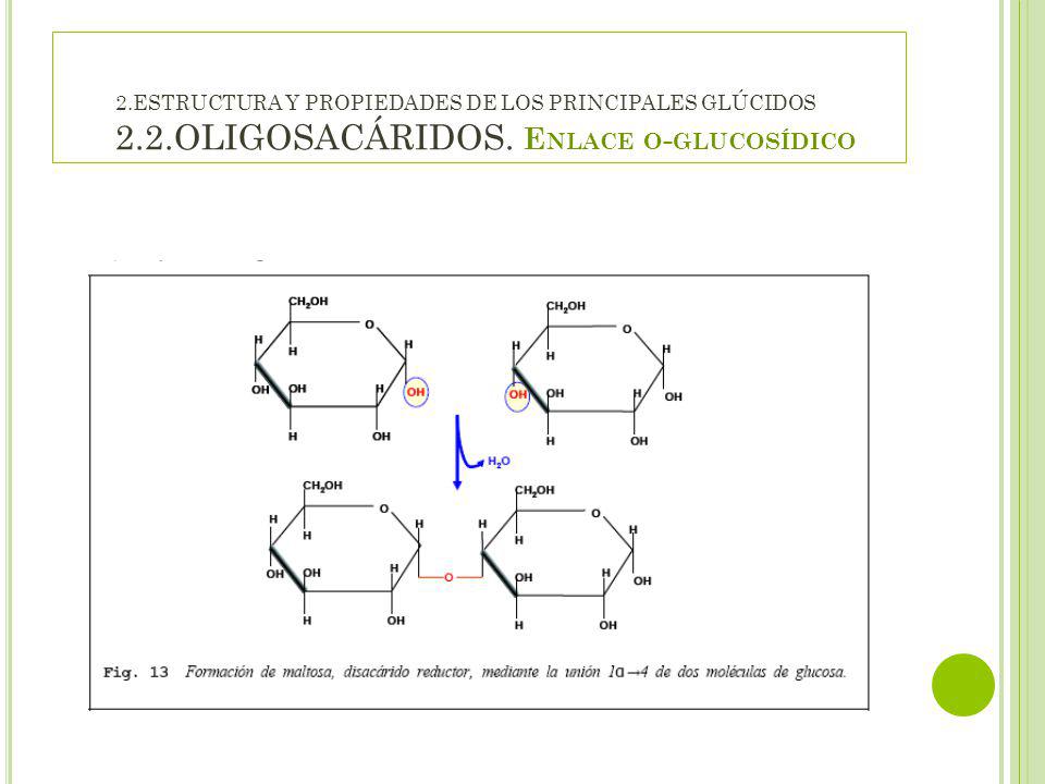 2. ESTRUCTURA Y PROPIEDADES DE LOS PRINCIPALES GLÚCIDOS 2. 2