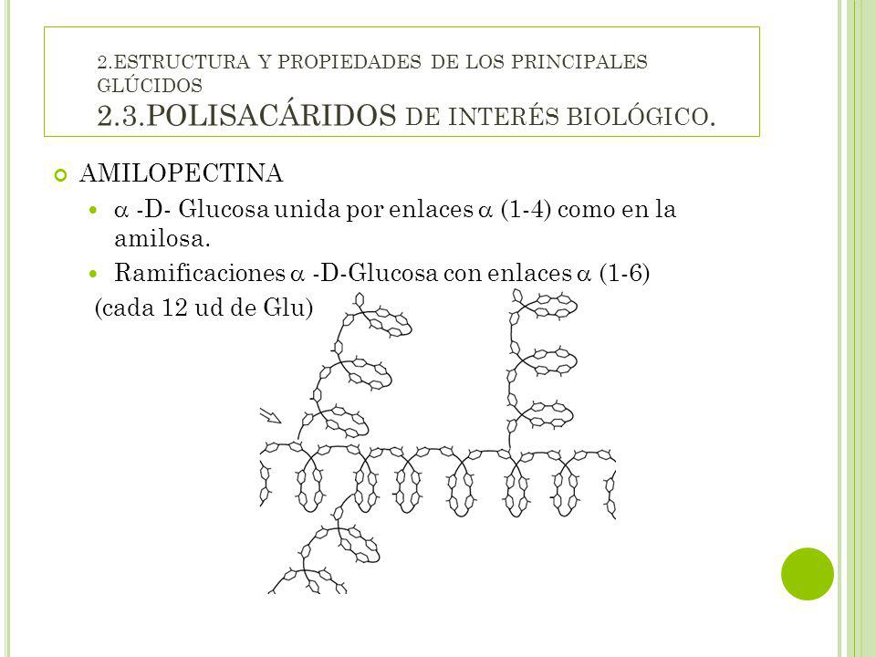  -D- Glucosa unida por enlaces  (1-4) como en la amilosa.
