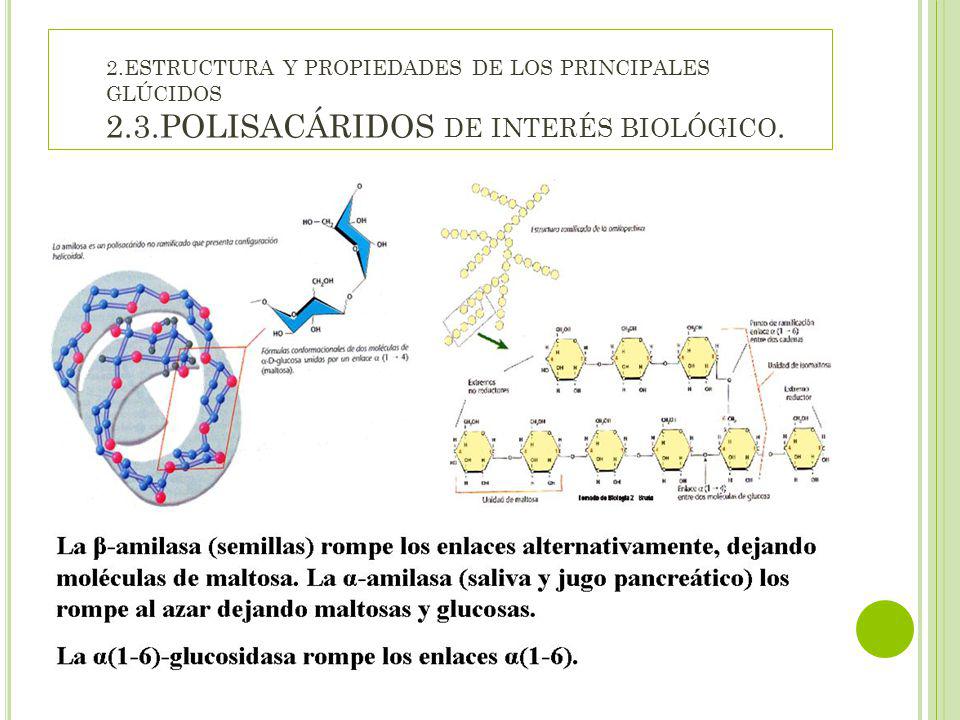 2. ESTRUCTURA Y PROPIEDADES DE LOS PRINCIPALES GLÚCIDOS 2. 3