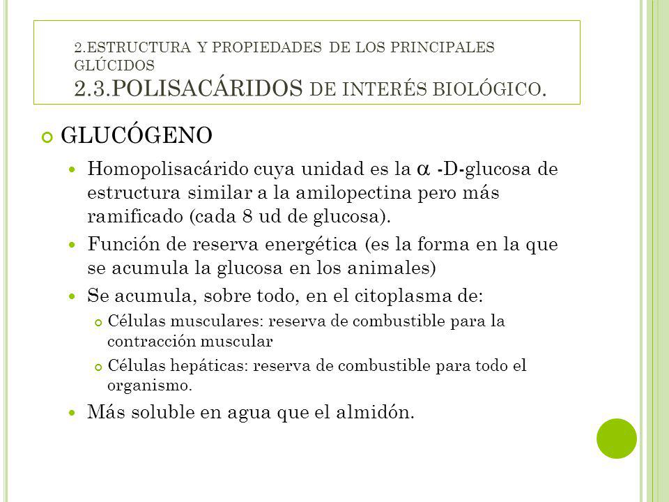 2. ESTRUCTURA Y PROPIEDADES DE LOS PRINCIPALES GLÚCIDOS 2. 3