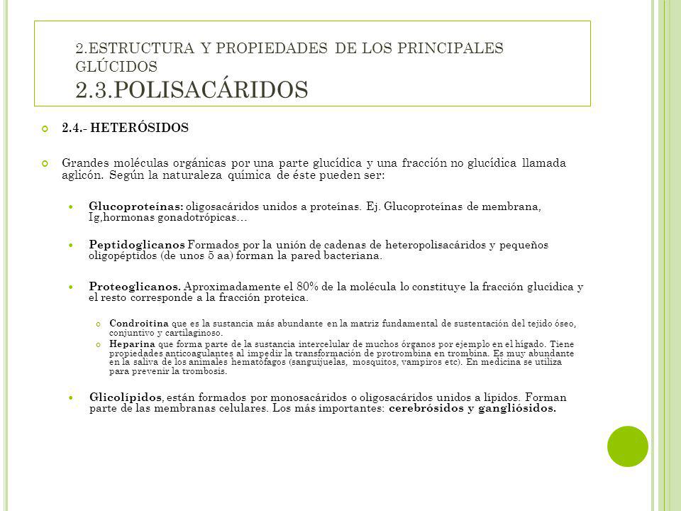 2. ESTRUCTURA Y PROPIEDADES DE LOS PRINCIPALES GLÚCIDOS 2. 3