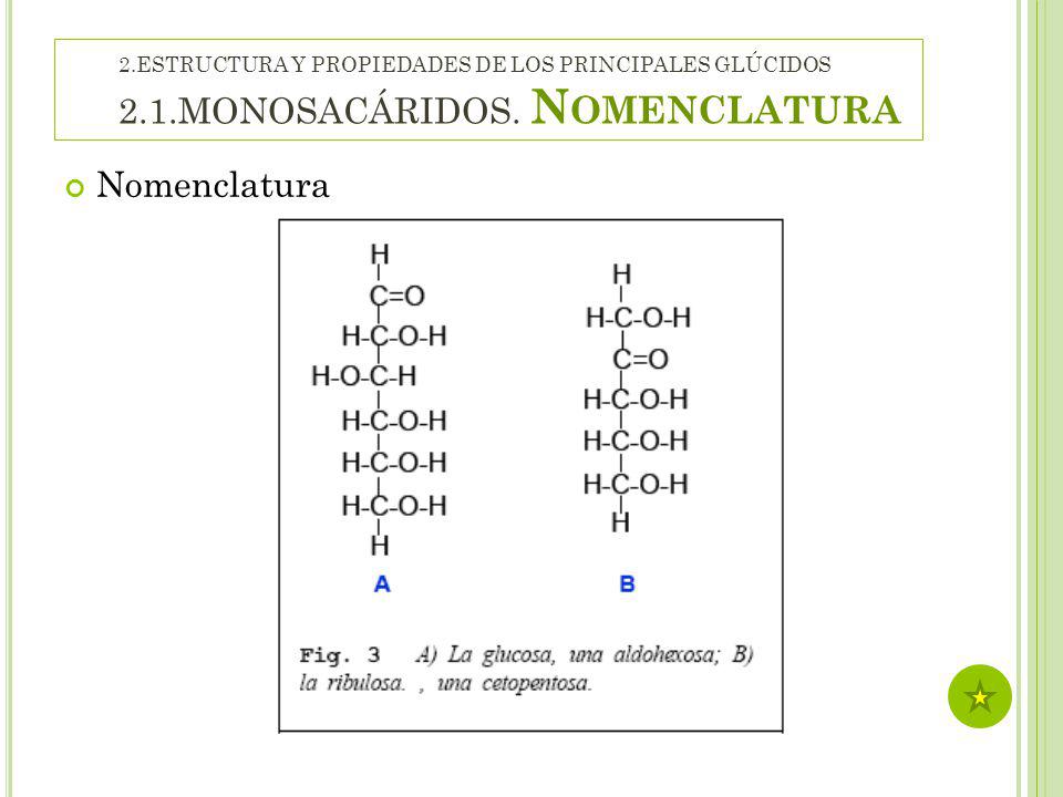 2. ESTRUCTURA Y PROPIEDADES DE LOS PRINCIPALES GLÚCIDOS 2. 1
