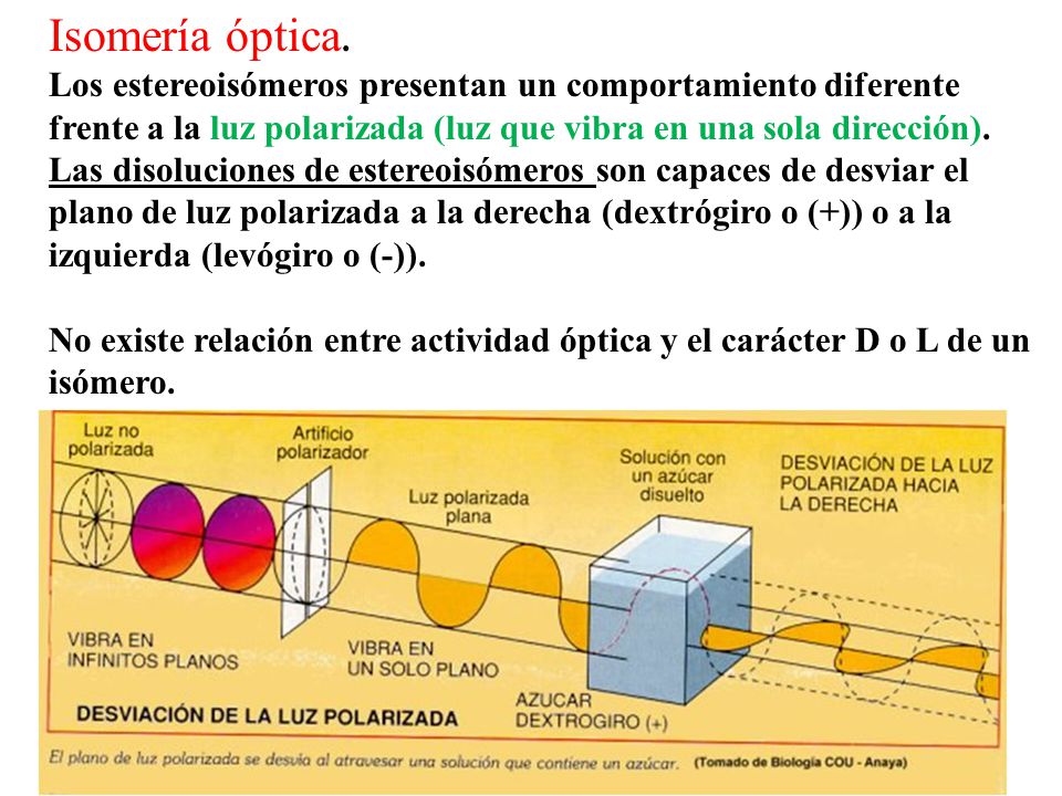 Isomería óptica. Los estereoisómeros presentan un comportamiento diferente frente a la luz polarizada (luz que vibra en una sola dirección).